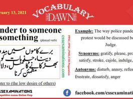 Daily Dawn Vocabulary 13 February 2021 Urdu and English Meaning and Synonyms. Contour, Wield, Credence, Pander to someone/something, Heinous.